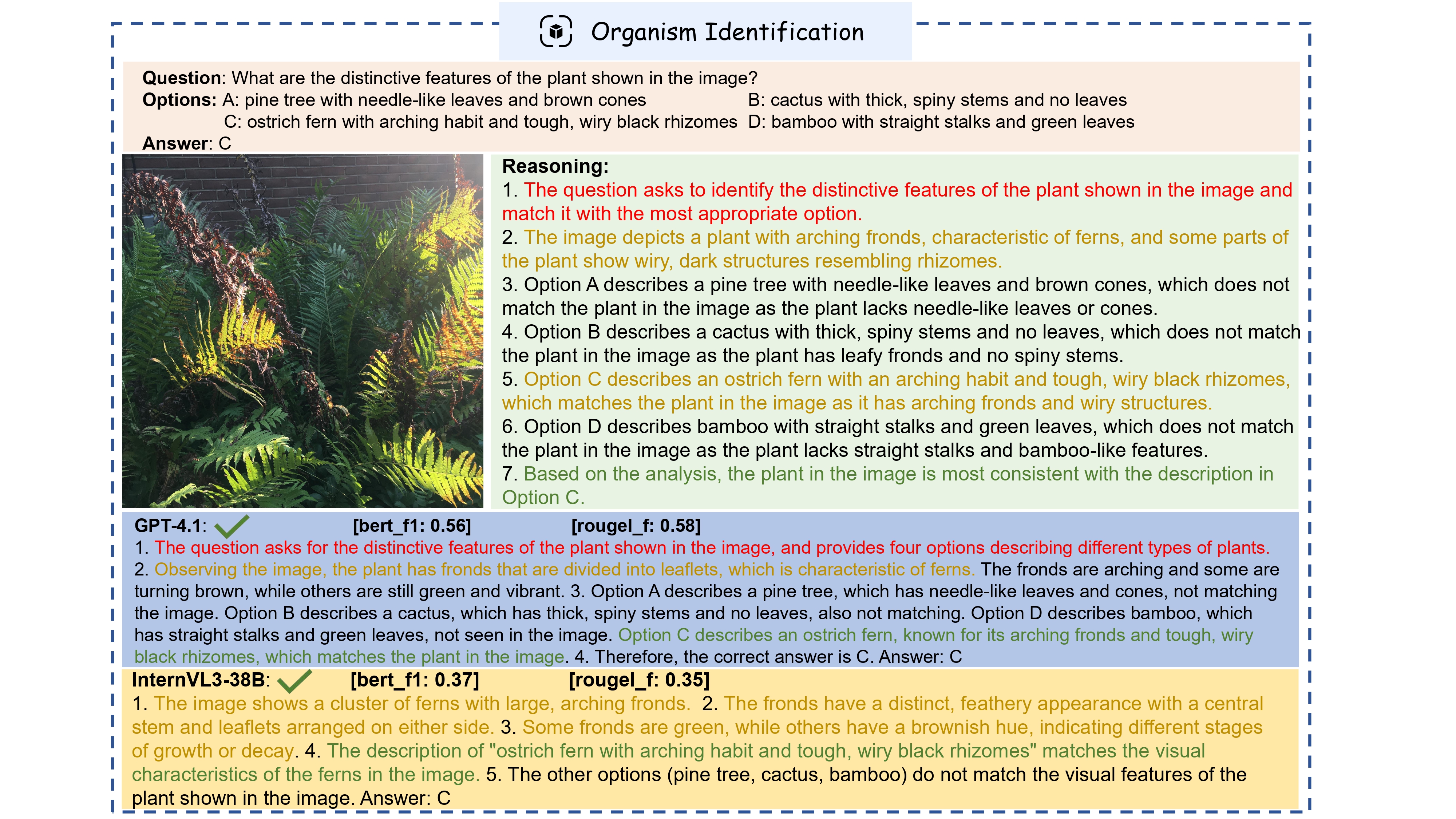 Organism Identification